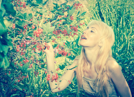 The young beautiful girl near to a bush of a red currant.,with a retro effectの写真素材