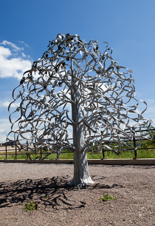 Wedding tree. Narva, Estonia. The wedding day attach leaflets with the names.の写真素材