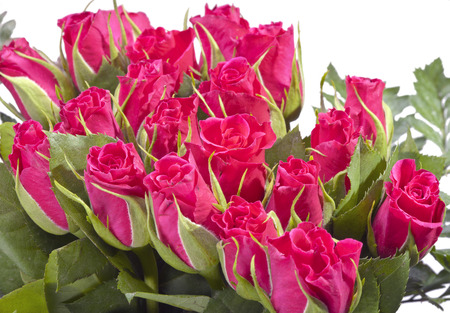 Red roses bouquetの写真素材