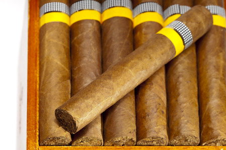 The Cuban cigars, hand madeの写真素材
