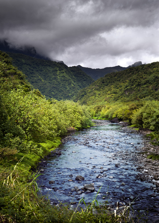 Tahiti.Tropical nature and mountain river.の写真素材