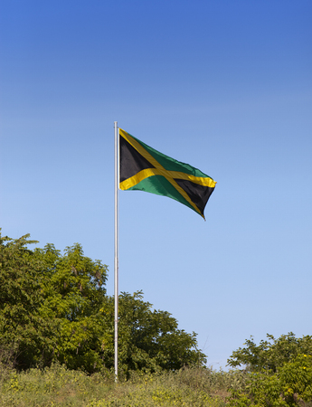Jamaica. National flag on the green hillの写真素材