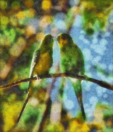 Budgerigars are kissed on branch