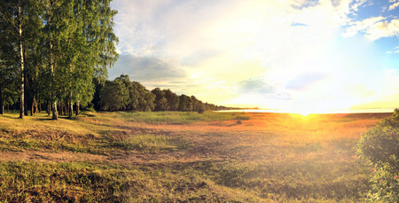 the sandy coast of the Gulf of Finland with a low grass and edge of the wood on a sunset