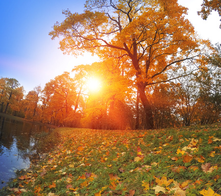 Autumn park with the river.の写真素材