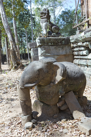 Prasat Damrei (means "Elephant temple") ruin in the Koh Ker temple complex, Siem Reap, Cambodiaの写真素材