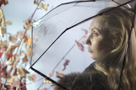 woman under a transparent umbrella with autumn leavesの写真素材
