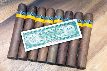 SAINT-PETERSBURG, RUSSIA- FEBRUARY 16, 2013: genuine Cuban cigars with excise stampsのeditorial素材
