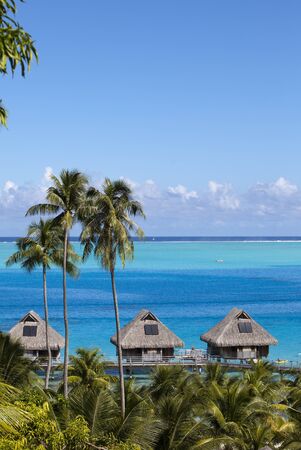 French Polynesia. Over water bungalows and palm treesの写真素材