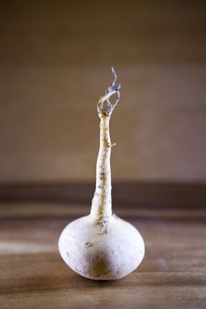 three turnips on a wooden table
