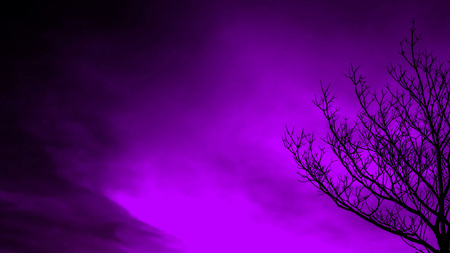 The mood of the sky violet blueの写真素材