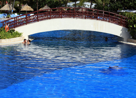 Holiday, sea, sun, palm trees - a paradise on earth.の写真素材