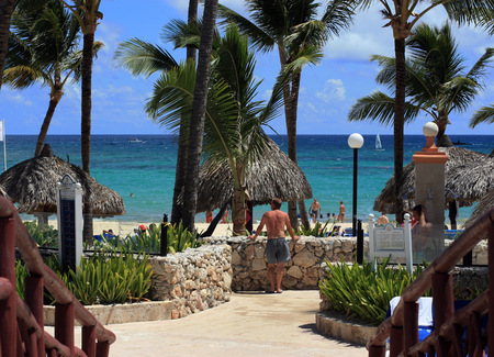 Holiday, sea, sun, palm trees - a paradise on earth.の写真素材