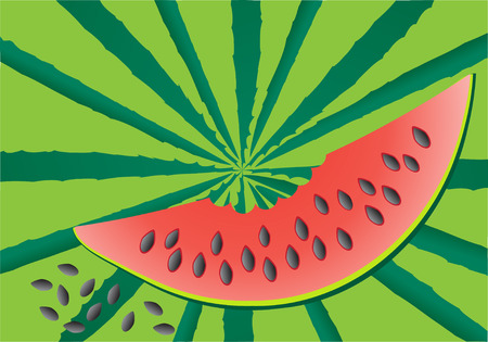 ripe slice bite watermelon vector illustrationのイラスト素材