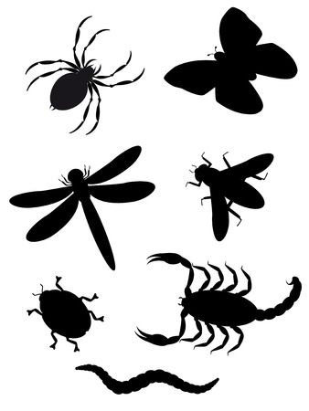beetles and insects silhouette illustrationのイラスト素材