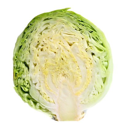cabbage is in a cut isolated on white backgroundの写真素材