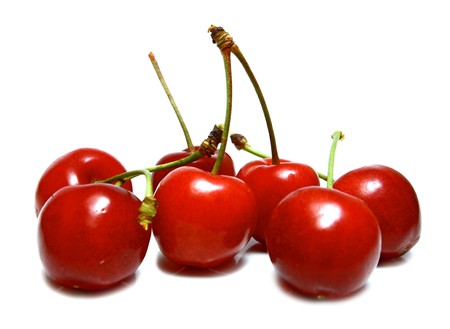 much sherry isolated on white backgroundの写真素材