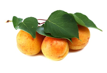 apricot isolated on white backgroundの写真素材