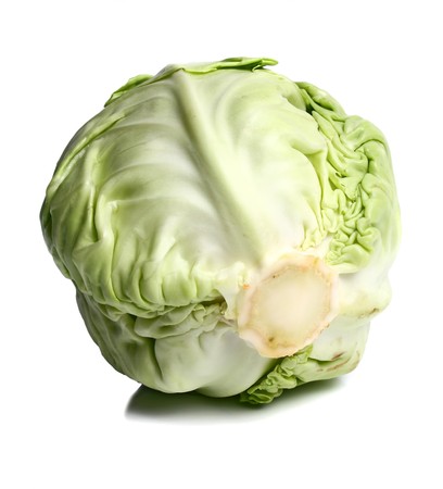 cabbage isolated on white backgroundの写真素材