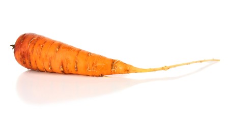 carrot isolated on white backgroundの写真素材