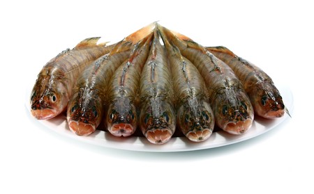 fresh raw fish isolated on white background