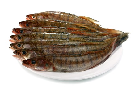 fresh raw fish isolated on white backgroundの写真素材