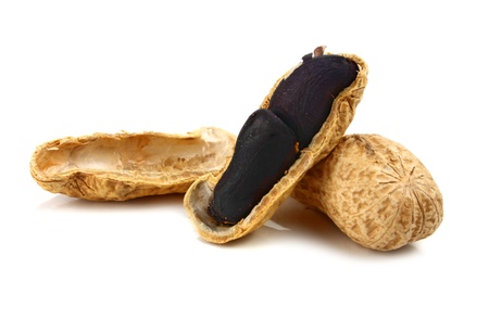black peanut isolated on white backgroundの写真素材