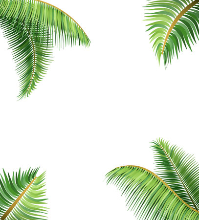 green leaves of tropical palm tree vector illustration isolated on white backgroundのイラスト素材