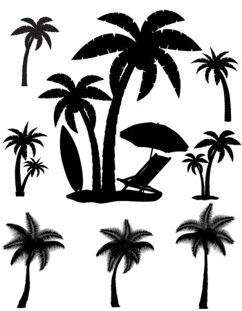 palm tropical tree black silhouette cartoon stock vector illustration isolated on white backgroundのイラスト素材