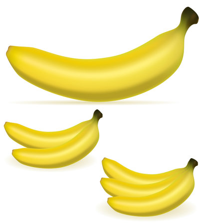 bananas realistic fresh and ripe cartoon stock vector illustration isolated on white backgroundのイラスト素材