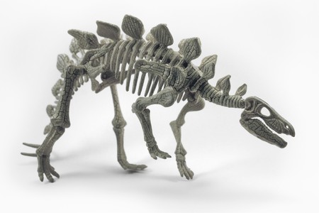 on a white background is the skeletonの写真素材