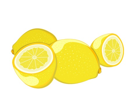 nice juicy fresh Lemon yellow on a white backgroundのイラスト素材