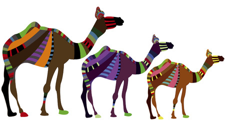 group of camels on a white background in ethnic styleのイラスト素材