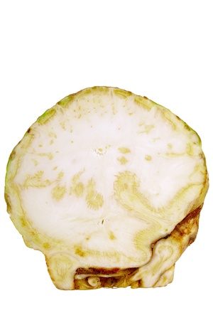 Cross-section of selleri isolated on white background, studio shoot, DFF image, Adobe RGBの写真素材