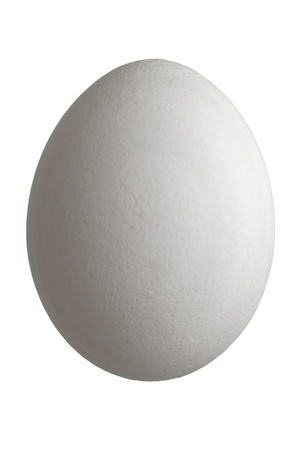 Close up of a white chicken egg isolated on white backgroundの写真素材
