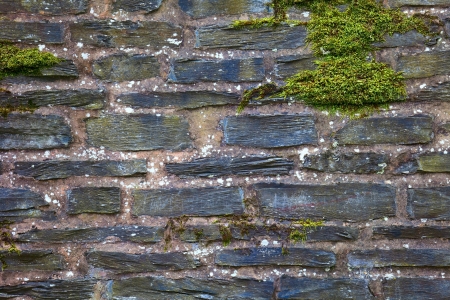 Stone wall with  lichen and moss  in small city Saarburg, Rheinland-Pfalz, Germany, summerの写真素材