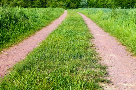 Dirt road on a field in a sunny evening, to right and left cornfield, spring, by Beckingen, Saarland / Germanyの写真素材
