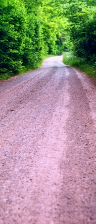 View of a dirt road in the mixed forest(beech,oak,ash), warm evening light, spring, stitched, by Beckingen - Saarland/Germanyの写真素材