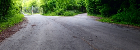 A asphalt road in the mixed forest, evening sun, spring, stitched, by Honzrath, Saarland/Germanyの写真素材