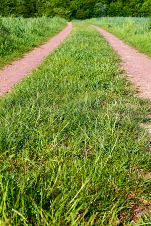 Dirt road on a field in a sunny evening, to right and left cornfield, spring, by Beckingen, Saarland / Germanyの写真素材