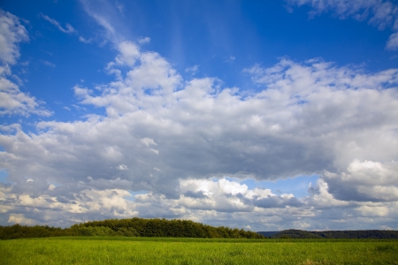 Beautiful white summer clouds as interesting  sky backgroundの写真素材