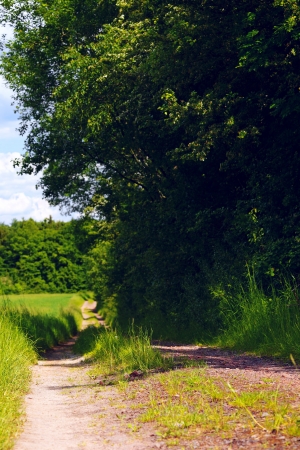 Dirt road on a field in a sunny evening, spring, by Beckingen, Saarland   Germanyの写真素材