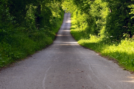 A asphalt road in the mixed forest, evening sun, spring, by Honzrath, Saarland/Germanyの写真素材