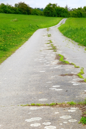 A fields asphalt road in the evening, spring, by Honzrath - Saarland / Germanyの写真素材