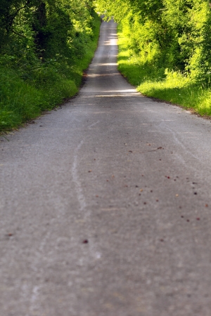 A asphalt road in the mixed forest, evening sun, spring, by Honzrath, Saarland/Germanyの写真素材