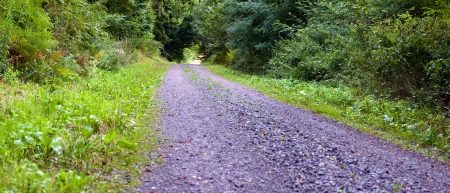 A break stone road in the mixed forest (beech, oak ), summer, Saarland/Germany, panoramic XXL