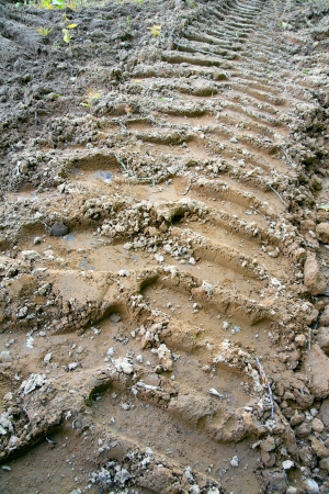 A dirt road with tire track on a field, Saarland / Germany,の写真素材