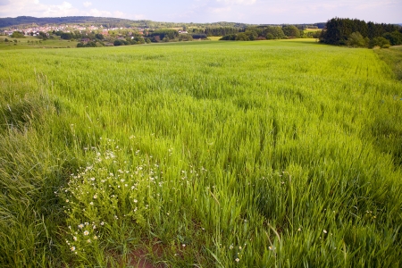 Agriculture landscape with fields and meadows, in the distance village Dueppenweiler, Saarland / Germanyの写真素材
