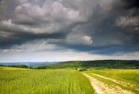 Agriculture Landscape with dirt road before storm, to left wheat field, Saarland/Germanyの写真素材