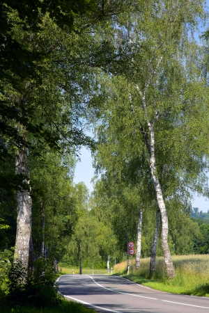 A asphalt country road in a sunny day, summer by Beckingen, Saarland / Germanyの写真素材